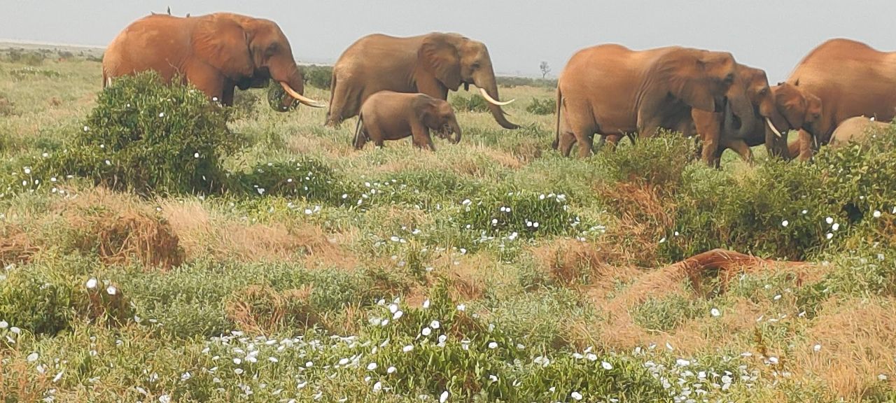 Lake Manyara National Park
