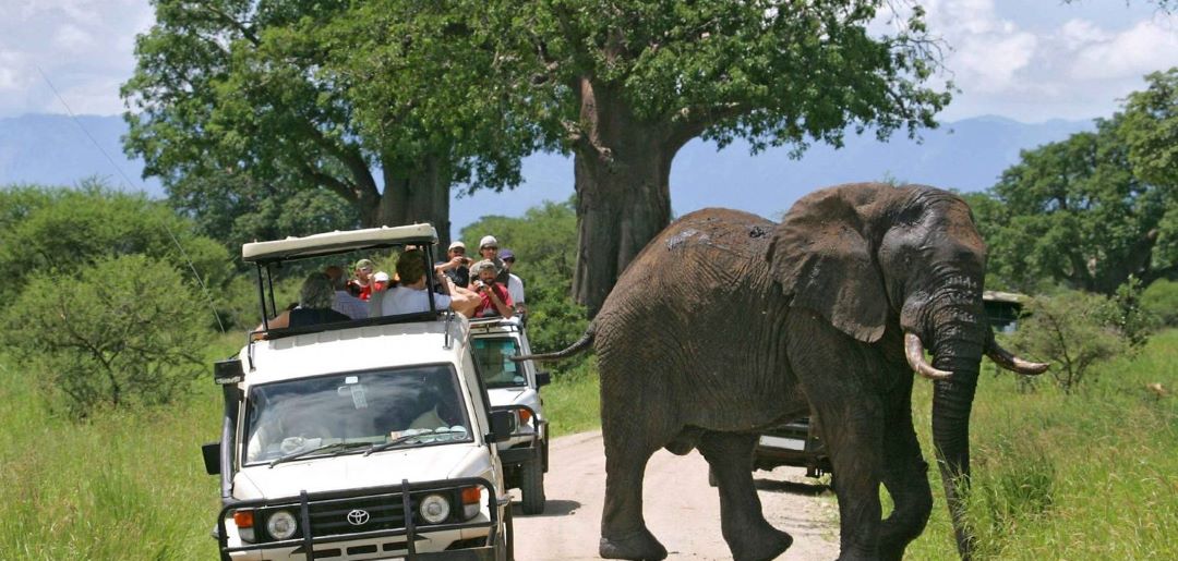 13-days Exploration safari adventure in Kenya