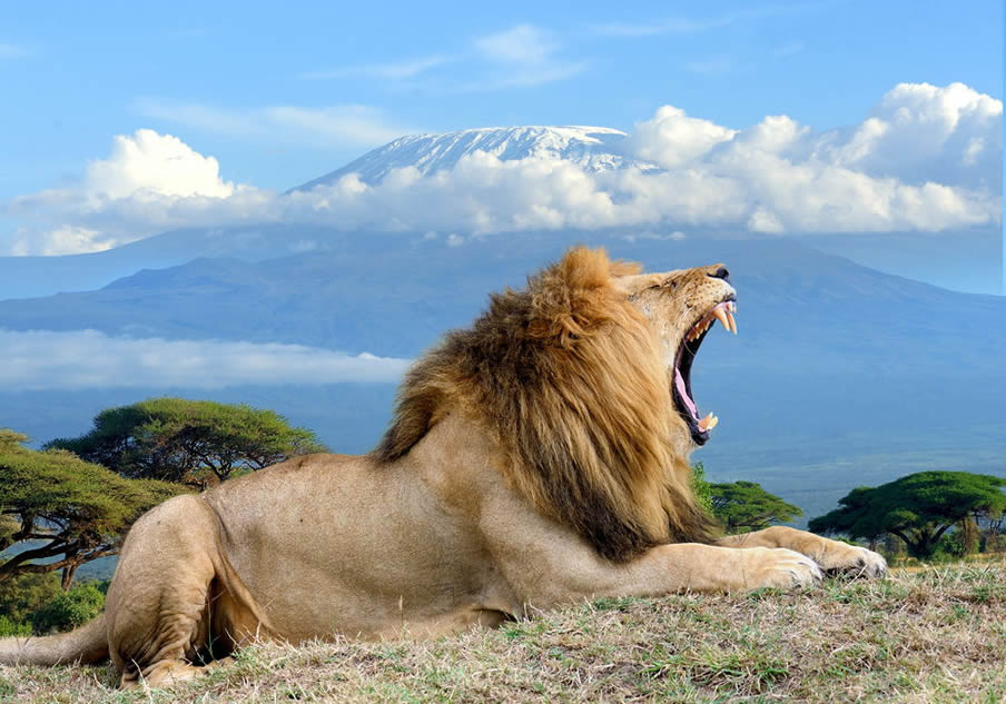Kenya Safari Tours to Amboseli