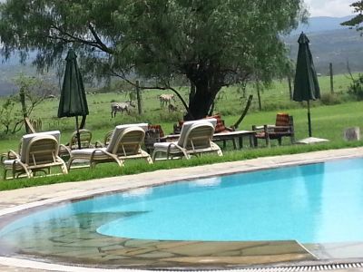 Flamingo hill camp Nakuru