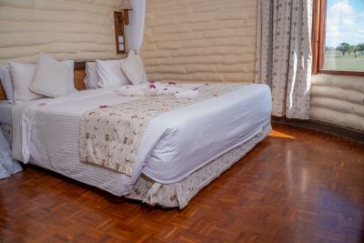 Saltlick safari Lodge in Taita Hills