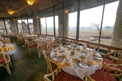 Saltlick safari Lodge in Taita Hills