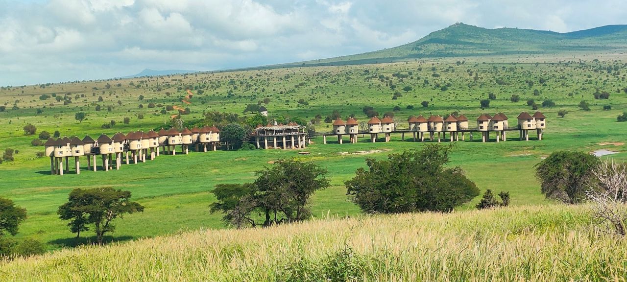 Saltlick safari Lodge in Taita Hills