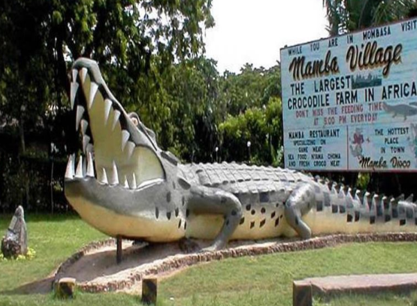 Mombasa Crocodile Farm Trip